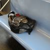 What, Nobody Wants To Sit Next To This Unattended Bag Of Snakes On The F Train?